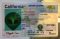 California Fake ID - Image 4