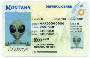 Montana Fake ID