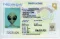 Nevada Fake ID