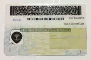 New York Fake ID