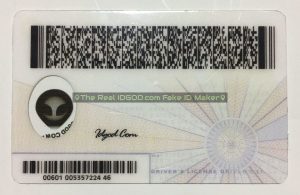 Virginia Fake ID