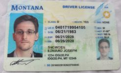 Montana Fake ID