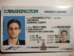 Washington Fake ID