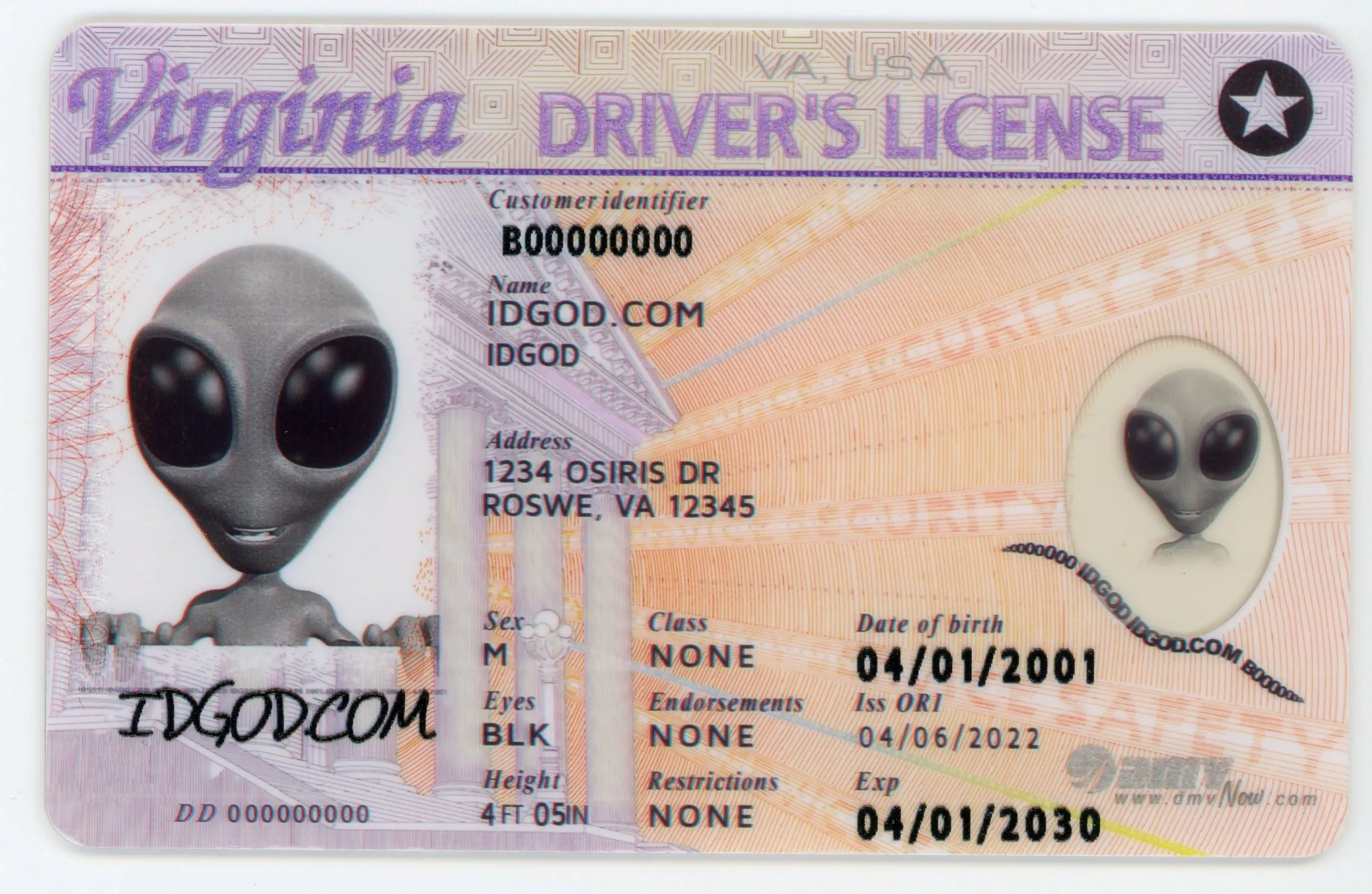 IDGod Fake ID - Virginia Fake ID