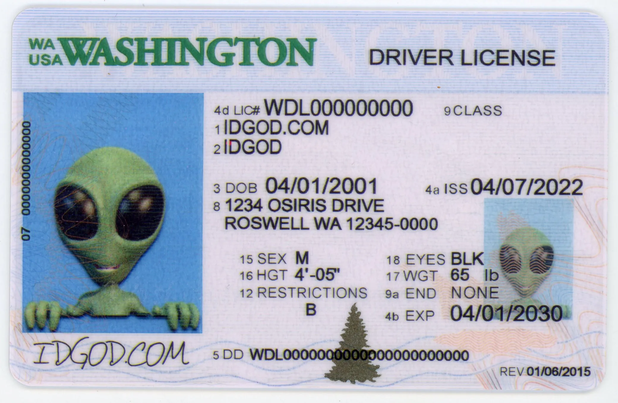IDGod Fake ID - Washington Fake ID